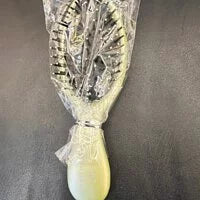 Olivia Garden Mini Brush