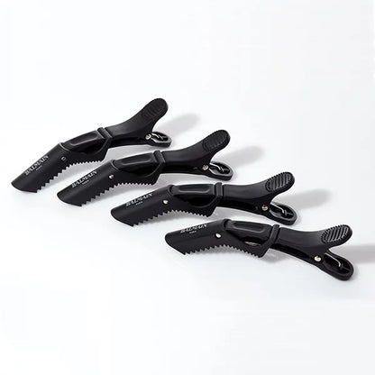 Balmain Hair Clips 4 pcs ????